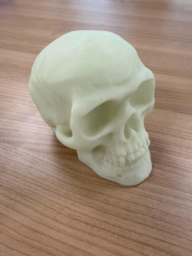 Lebka vytištěná pomocí filamentu s fosforem